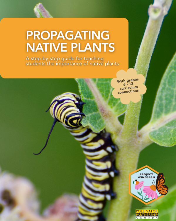 Propagating Native Plants - Teacher's resource