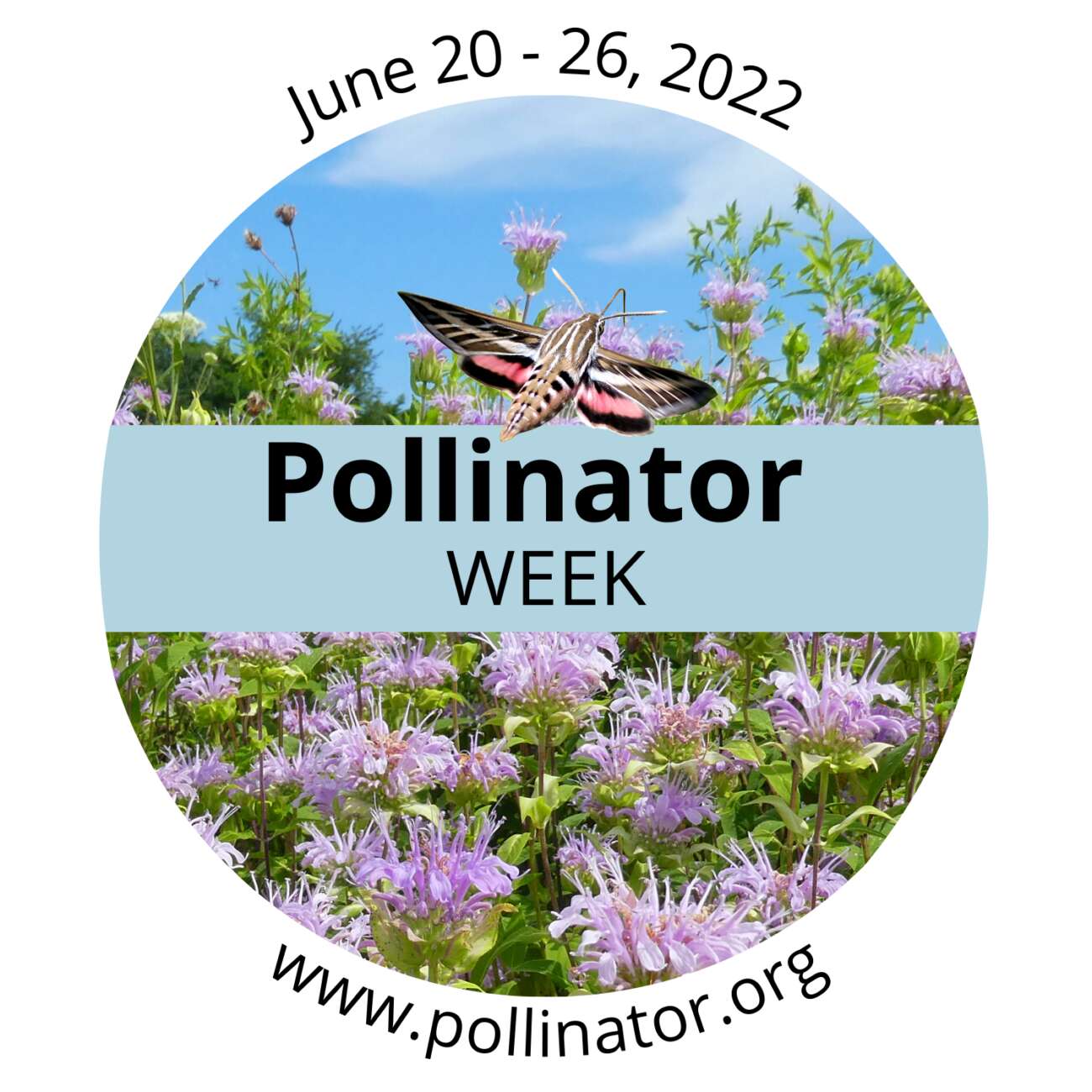 Pollinator Week Canada P2C