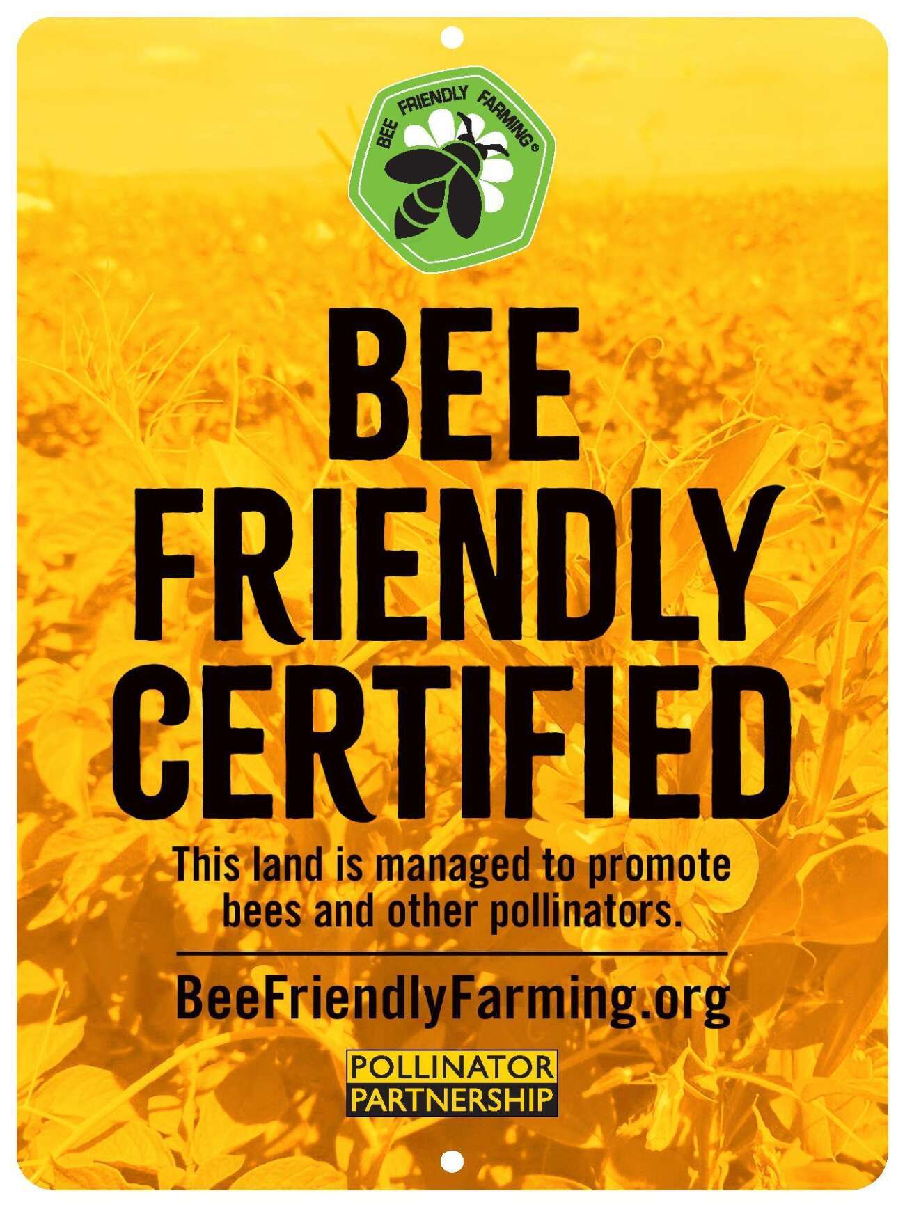 Bee Friendly Farming