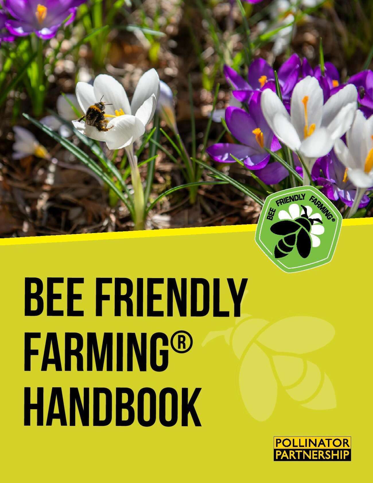 Bee Friendly Farming